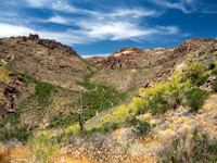 Bluff-Springs-Dutchman Loop (May 2019)