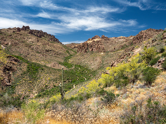 Arizona 2019