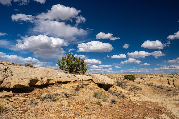 New Mexico 2025