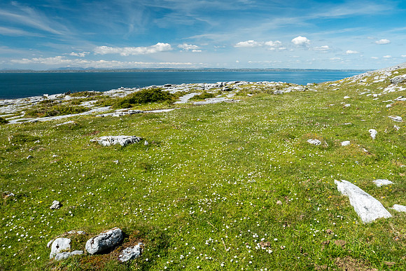 Ireland 2017