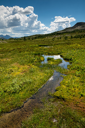 Banff National Park 2025