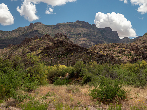 Arizona 2019