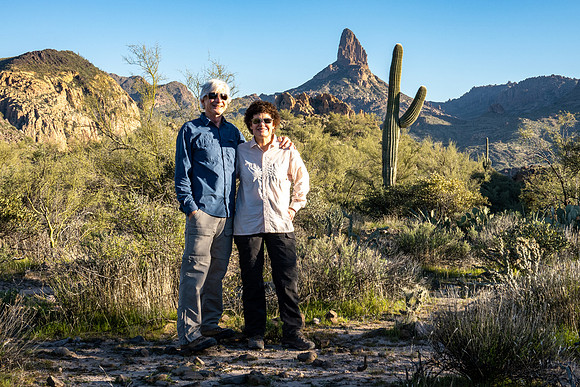 Arizona 2020