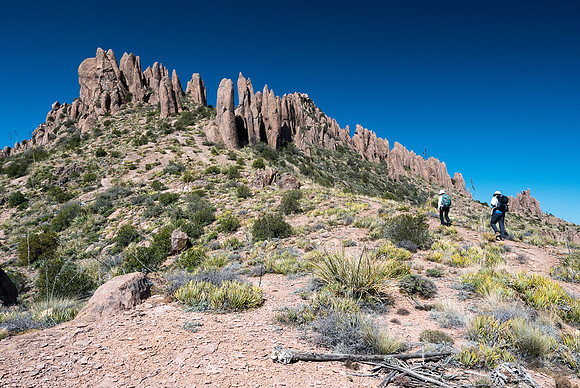 Arizona 2015 - Superstitions Ridge Hike (Mar)