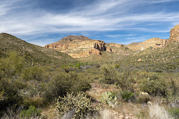 Arizona 2020