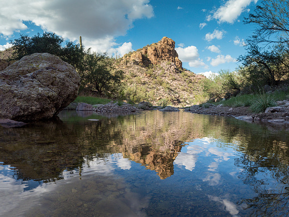 Arizona 2018