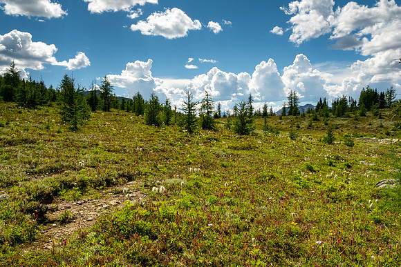 Banff National Park 2025