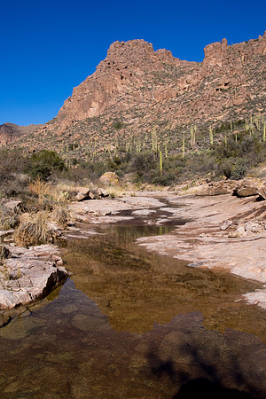 Arizona 2013 - Superstitions Hike Bluff Spring Loop