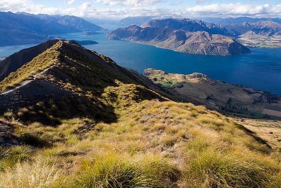 New Zealand 2013