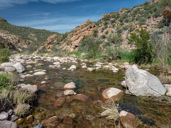 Arizona 2019