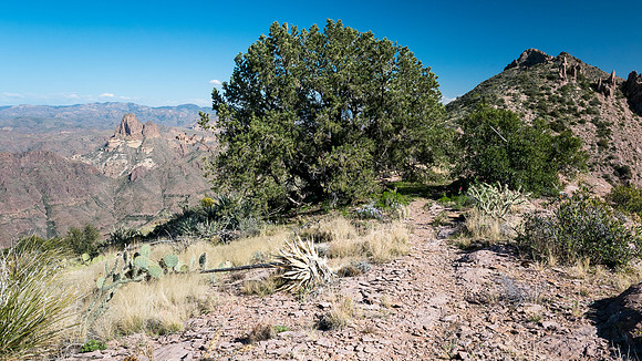 Arizona 2015 - Superstitions Ridge Hike (Mar)