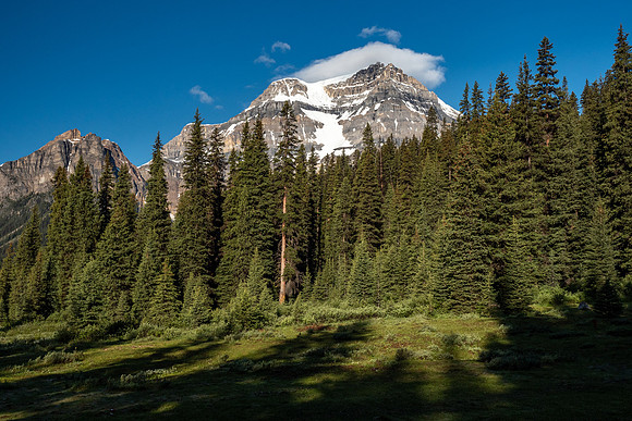 Pacific NW 2019