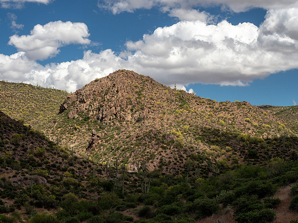 Arizona 2019