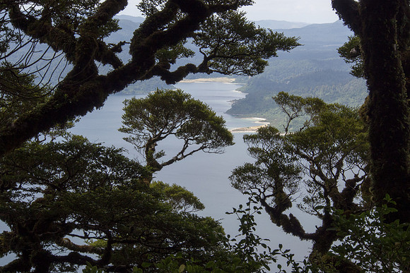 New Zealand 2013