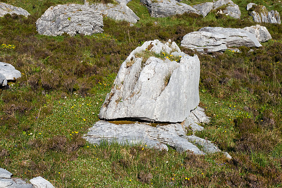 Ireland 2014 - Burren
