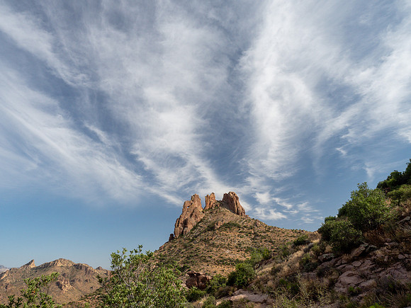 Arizona 2019