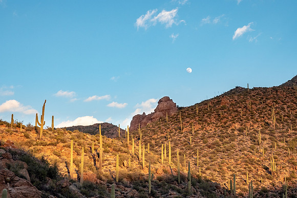 Arizona 2019