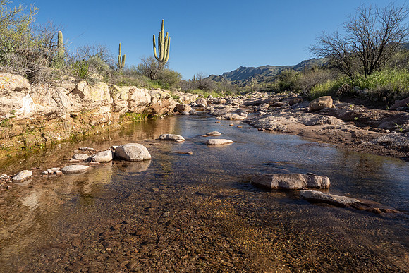 Arizona 2020