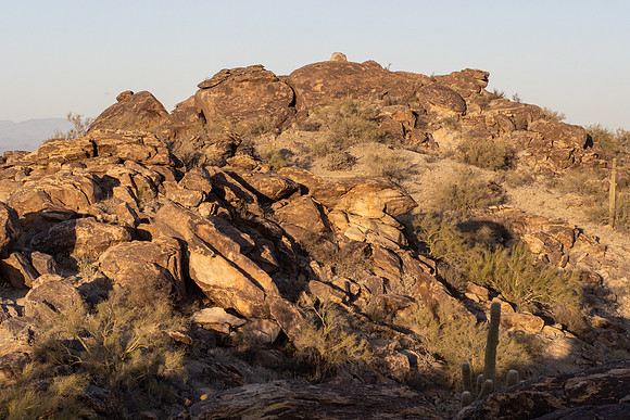 Arizona 2021