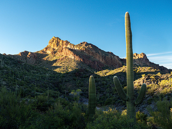Arizona 2019