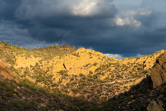 Arizona 2018