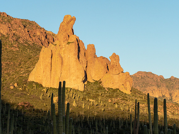 Arizona 2019
