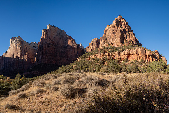 Zion National Park 2024