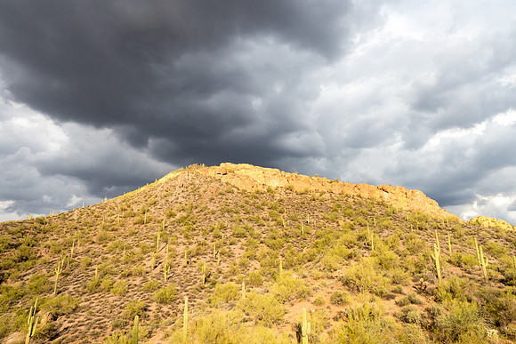 Arizona 2018