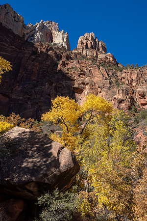 Zion National Park 2024