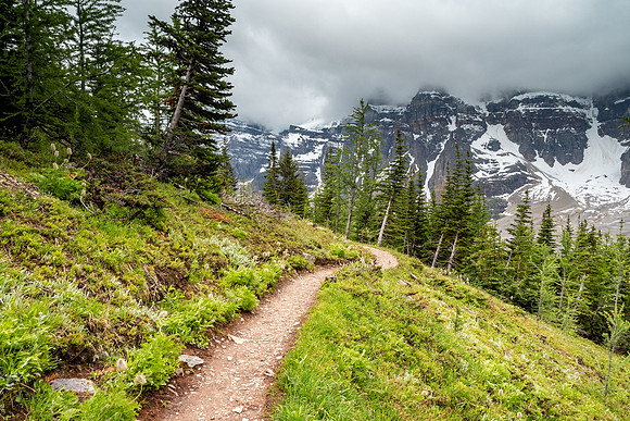 Pacific NW 2019