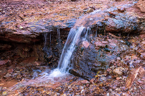 Zion National Park 2024