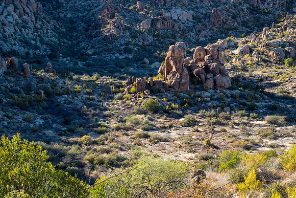 Arizona 2018