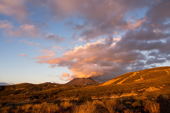 New Zealand 2013