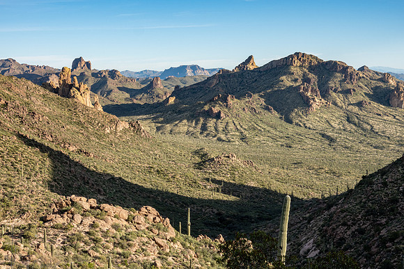 Arizona 2019