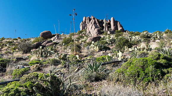 Arizona 2015 - Superstitions Ridge Hike (Mar)