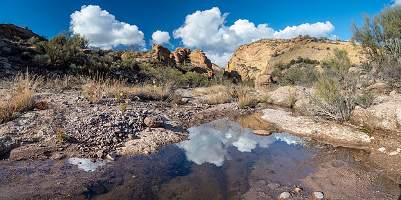 Arizona 2019
