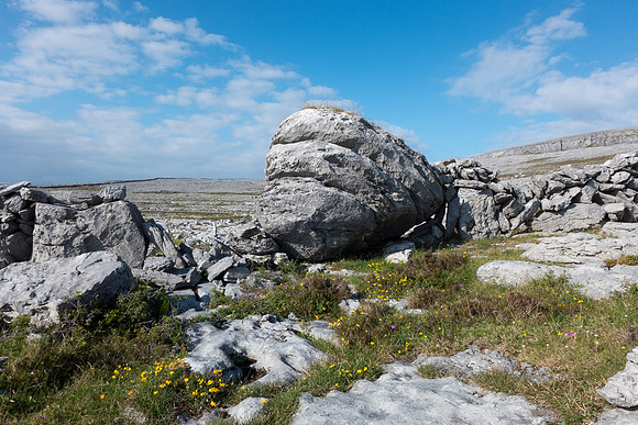 Ireland 2014 - Burren