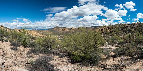 Arizona 2018