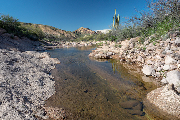 Arizona 2019