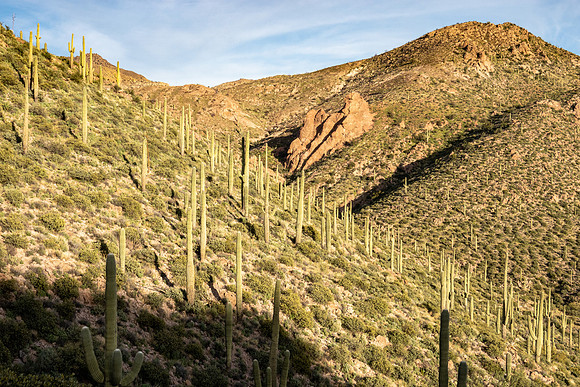 Arizona 2019