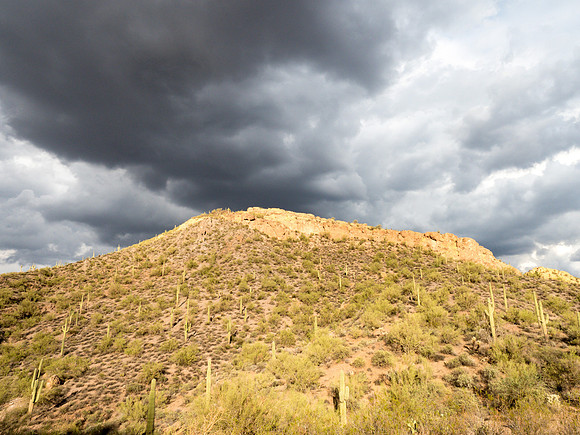Arizona 2018