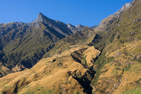 New Zealand 2013