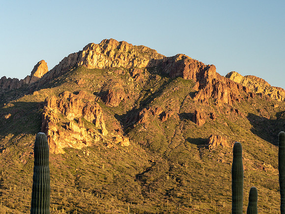 Arizona 2019