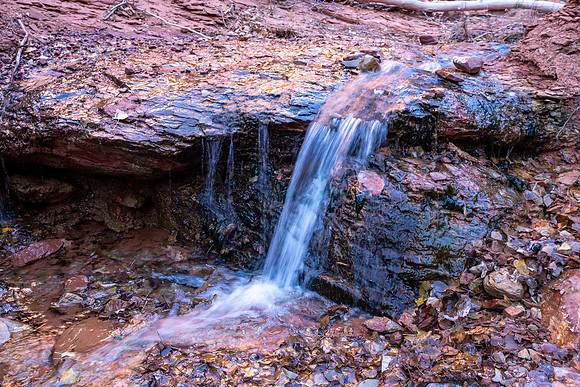 Zion National Park 2024