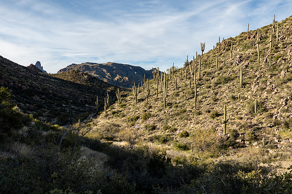 Arizona 2019