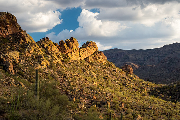 Arizona 2018