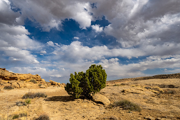 New Mexico 2025