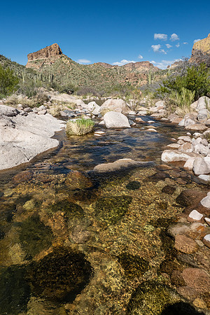 Arizona 2020