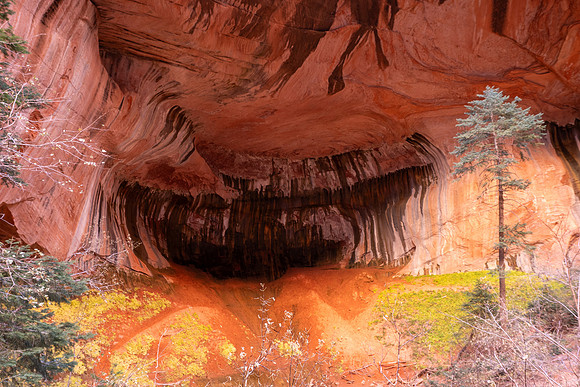 Zion National Park 2024