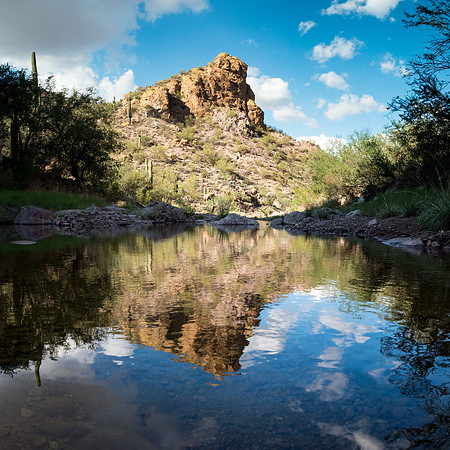 Arizona 2018